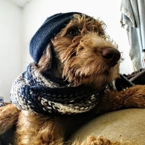 Meet your Posher, Lucas